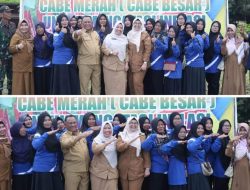 Pj Bupati Kampar Tanam Cabai Besar Bersama Kelompok Tani Mulya Berkah Untuk Atasi Inflasi