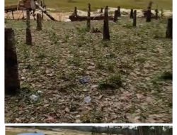 Satu Rakit Upeti Rp 1 Juta per Bulan?, Penambangan Emas Ilegal di Kuantan Hilir Terus Beroperasi