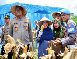 Panen Raya Jagung Kampar Kuartal I 2026, Komitmen Ahmad Yuzar Wujudkan Swasembada Pangan Kian Nyata