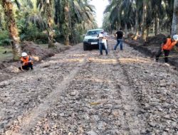 Pemerataan Pembangunan Jadi Prioritas, Pemkab Kampar Pastikan Seluruh Wilayah Tersentuh Program Strategis