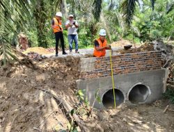 Jalan Produksi Sawit Kampar Jadi Kunci Ekonomi Nasional, Disbunnak Keswan Tegaskan Dampak Nyata bagi Petani