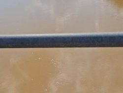 Subayang di Ujung Tanduk: Ketua HIPPEMARKI Serukan Aksi Tegas dan Dorong Ekonomi Hijau