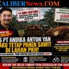 14 Ribu Hektare Sawit di Kawasan Hutan Jadi Sorotan, Pernyataan Bos PT Andika Permata Lestari Tuai Reaksi Publik