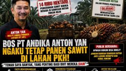 14 Ribu Hektare Sawit di Kawasan Hutan Jadi Sorotan, Pernyataan Bos PT Andika Permata Lestari Tuai Reaksi Publik