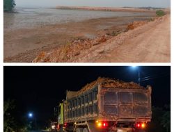 REKLAMASI BATAM CENTER DISOROT, MANGROVE BERUBAH JADI TIMBUNAN 10 HEKTARE LEBIH